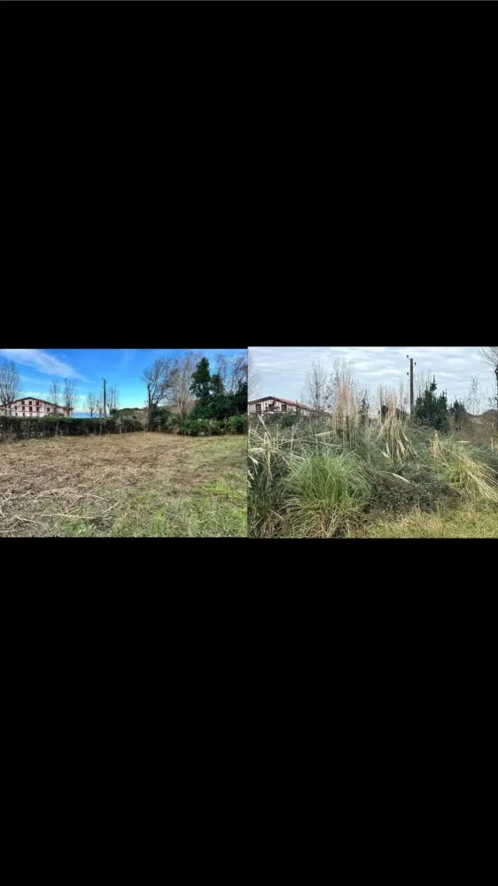 av ap entretient jardins terrain 1