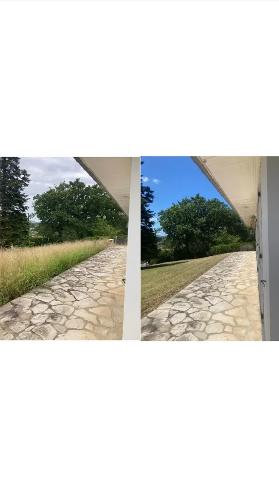 av ap entretient jardins terrain 2
